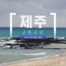 태평탕 | 제주여행 : 봄을 기다리는 비와함께 (우진해장국, 김만복기념관,카페리듬,이춘옥고등어쌈밥,바이제주...