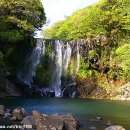 천제연폭포 이미지