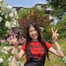 선샤인스포츠 이미지