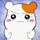 돼지수산 이미지