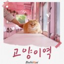 애니팡팡 펫살롱 | [바비온X애니살롱] 고양이 100마리가 놀며 쉬는 힐링스팟 고양이역!
