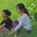 자매하우스민박 이미지