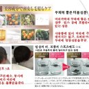 스프레이헤어 이미지