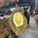 두리안 이미지