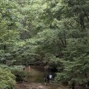 벽운클럽 이미지