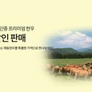 이스퍼
