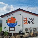 상가리농장 이미지