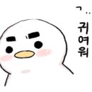 플랫폼 1021 이미지