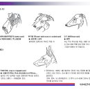 더플라이 이미지