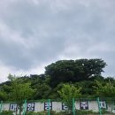 강서구 가덕도 맛집 소희네집 내돈내산 솔직후기