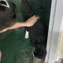 콩실언니 네이버블로그