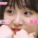 달콤언니 이미지