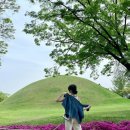 현포토 이미지