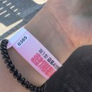 댕댕하개 이미지