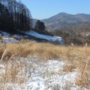 무릉도원면-7 이미지