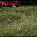 쌍지보건진료소 이미지