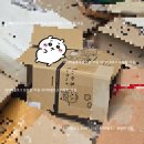 스물.하나 | 카에루몰 스물 한 번째 이용 후기