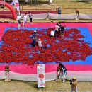 곡성-198 이미지