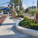 걷고싶은거리 이미지