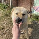 맥스농장 이미지