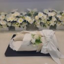 리틀포즈 반려동물 장례식장 이미지