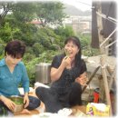 성열목장 Daum카페