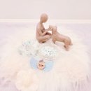 순천로 | 전남·순천·여수·광양 1004(천사)반려동물장례식장 메모리얼스톤(루미엘) 실제 제작후기 궁굼해요!