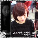 가인머리 이미지