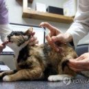 통일동물병원 이미지