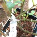 군산농약사 이미지