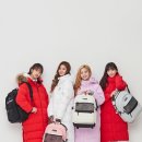 뉴비(new-b) 이미지