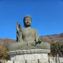 또바기약국 이미지