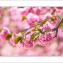 운서초등학교 이미지