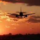 제주의 이유 이미지