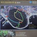 어촌로 Daum카페