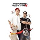 펫데이트 이미지