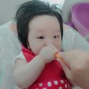 2020-주161 네이버블로그