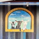 다양한 액티비티 제주투어패스여행 : 내돈내산