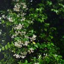 하루산책 이미지