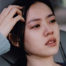 돋보이 개 네이버블로그