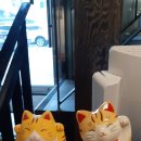 신기세천 이미지