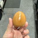 락휴코인노래연습장 김포구래점 | 1013-1014 완전히 이해할 순 없어도 완전히 사랑할 수는 있다