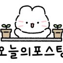 우프루프 이미지