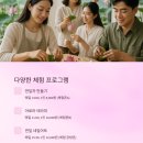 네일아트 테라피B 이미지