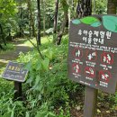 금촌유아숲체험원 이미지