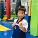 경희대 품희 태권도장 이미지