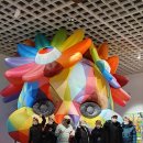 주식회사 비제이 이미지