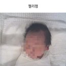 벨라니산후조리원 동탄점 이미지
