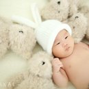 봄날스튜디오 이미지