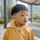 두돌 아기 우비 추천 노르디코 킨더 우비 베이지 착용 후기 (M 사이즈 팁)